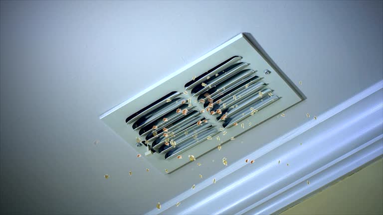 Reliable Belleville, IL Airduct Cleaning Solutions