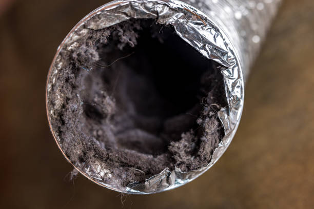 Best Emergency Air Duct Cleaning  in Bellevle, IL