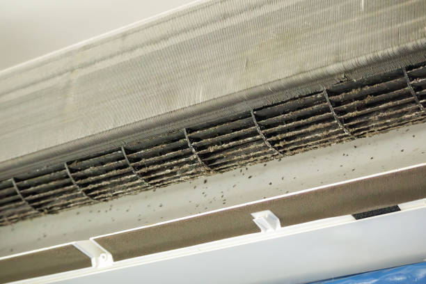 Best Best Air Duct Cleaning Company  in Bellevle, IL